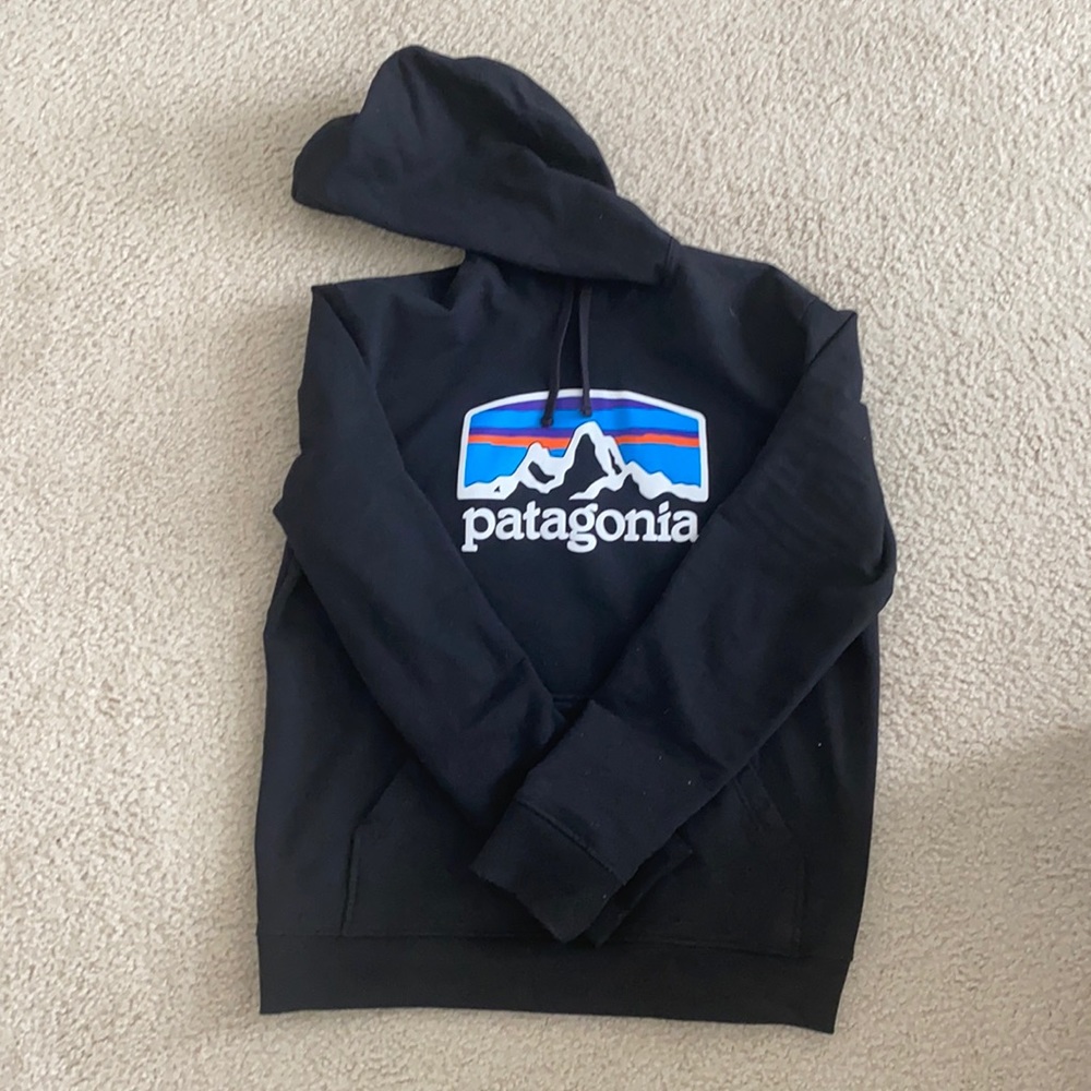 Patagonia Sweatshirt